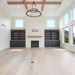 New Construction Transitional 2-Story - Scott County