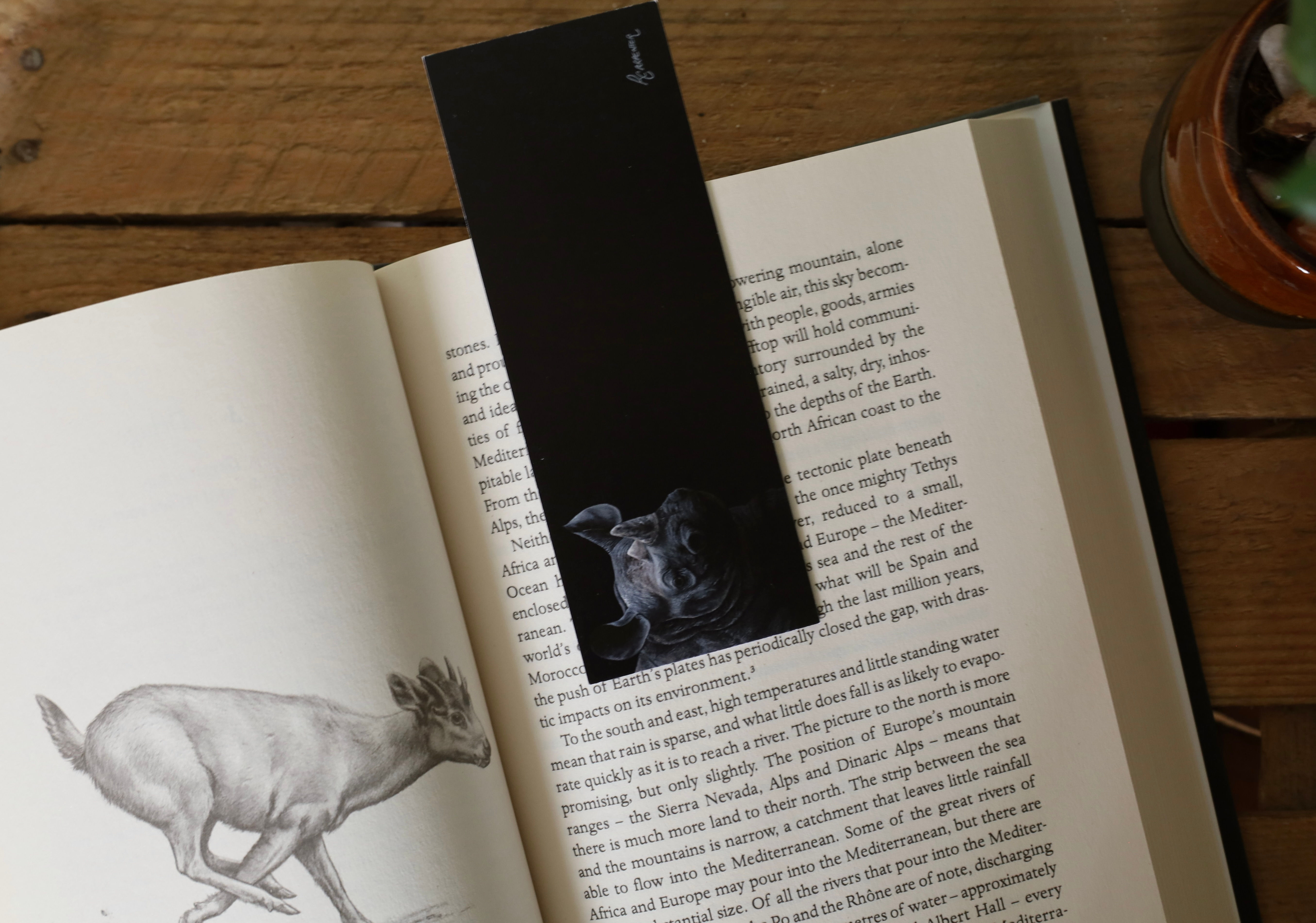 Black rhino calf bookmark