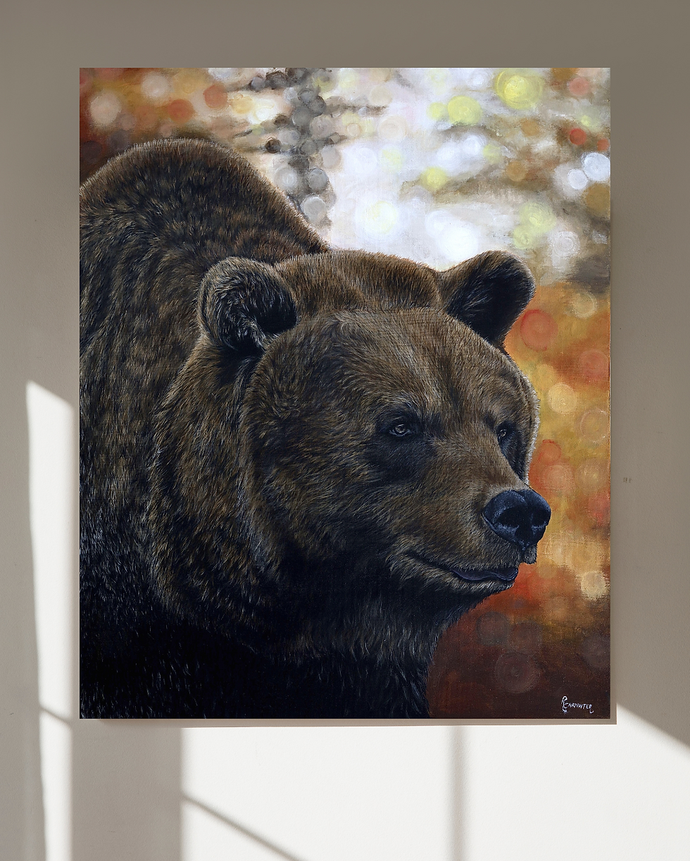 Ursus arctos