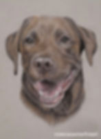 'Rufus'