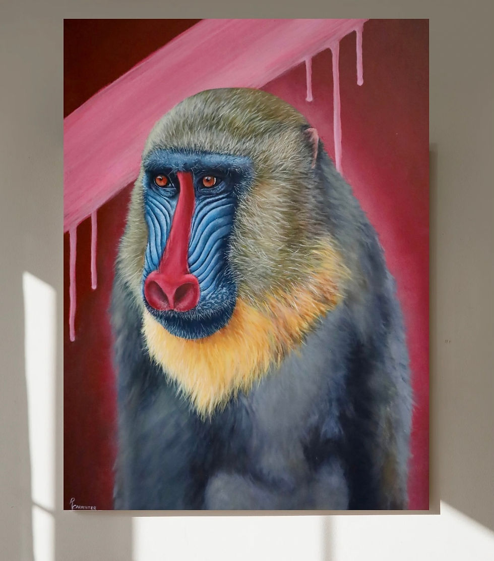 Mandrillus sphinx
