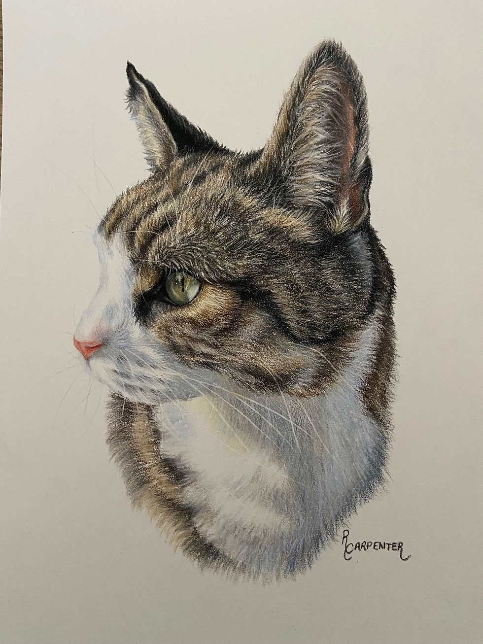 'Paws'