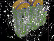 🌱 Vom Treibhausgas zum wertvollen Material