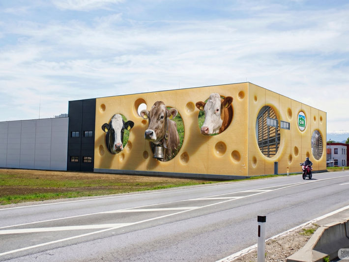 A massive 3D building wrap designed by Brandspace3D on a dairy facility, turning the exterior walls into a giant piece of yellow Swiss cheese with holes. Three cows are looking out from the holes alongside a green 'OM' logo, next to a curved public road.