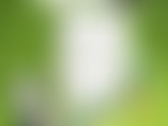 3D Illustration for the German Magazine P.M.