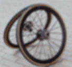 vittoria_2.jpg