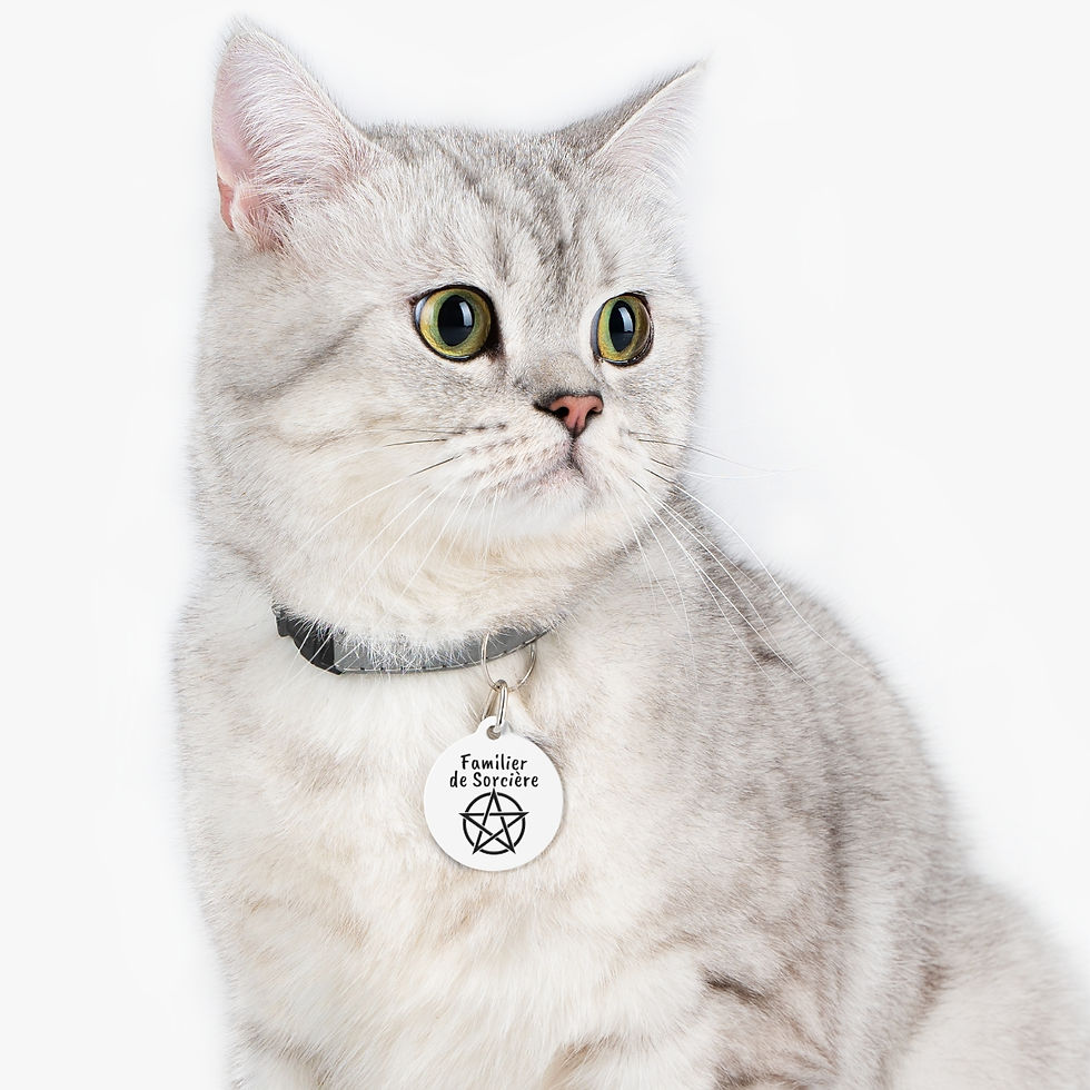 Miniature : Médaille pour animaux couleur argent avec mention Familier de sorcière