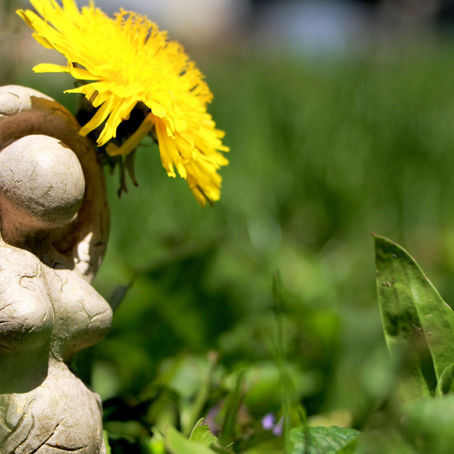 Préparation à une Spiritualité Magique saine et attirer les Vibrations Positives