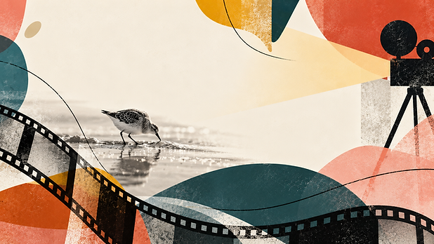 Collage cinématographique au bord de mer.png