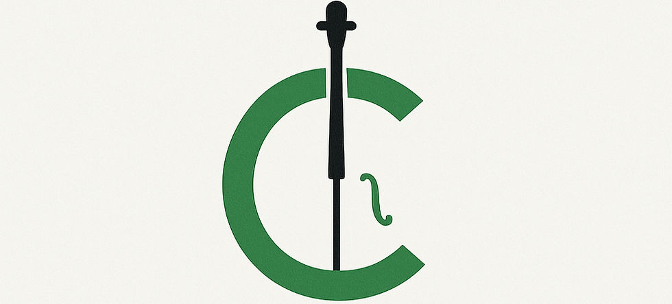 Cello Cincinnati: A Musical Community Experience