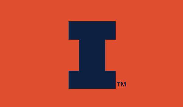 ILLINOIS ORANGE 2' X 3'