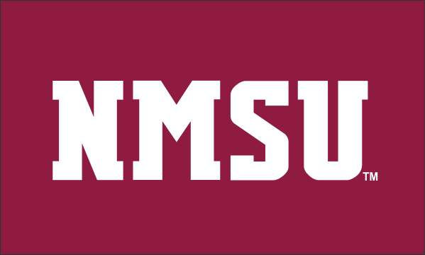 NEW MEXICO STATE 2'X 3'