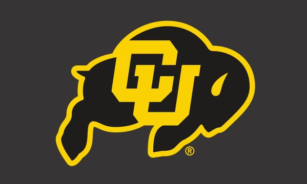 2' X 3' COLORADO BOULDER DARK