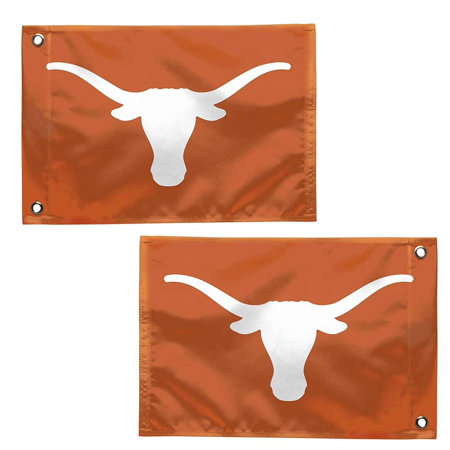 Texas Longhorns 12" x 18"