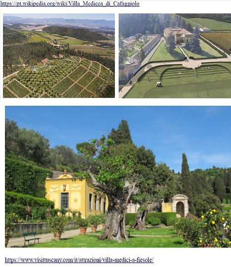 Fiesole vila Medicea.jpg