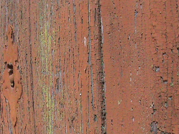 DSC02569.JPG