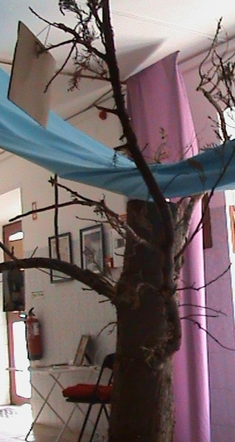 DSC00114.JPG