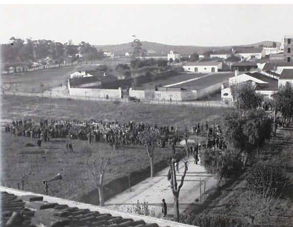 Vila Viçosa, Rossio, anos 30: Cerimónia de início da plantação da Mata Municipal na área onde acabara de ser desmontado o Cemitériode S José (odeestava nomeadamente a sepultura de Henrique Pousão, não transladada) Na área recintada à esquerda do Convento dos Jesúitas, uma área reintada onde viria a ser costruído um lagar , e, mais recentemente, um hotel.