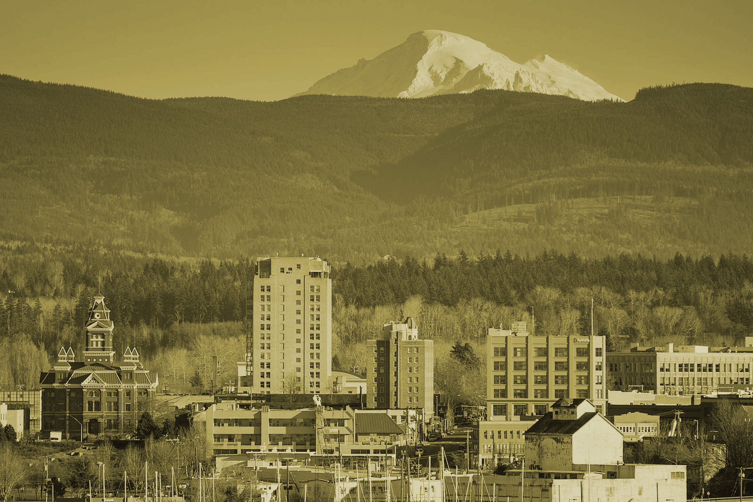 Bellingham-DT