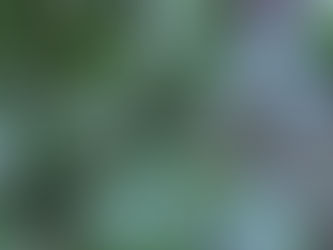 How To Connect to What's Real When Your Teenager has Big Emotions