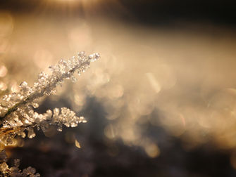 How Can I Support My Teenager With Anxiety?