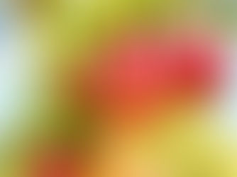 Talk it Through or Let It Go? - Experiments in Communicating with your Teenager