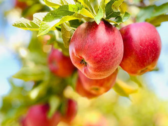 Talk it Through or Let It Go? - Experiments in Communicating with your Teenager