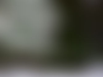 52 Kinds of Gratitude