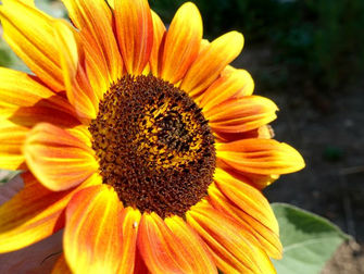 I'm Not Living on High Alert Anymore