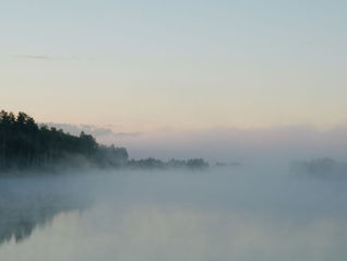 Calling In Your New Way of Parenting