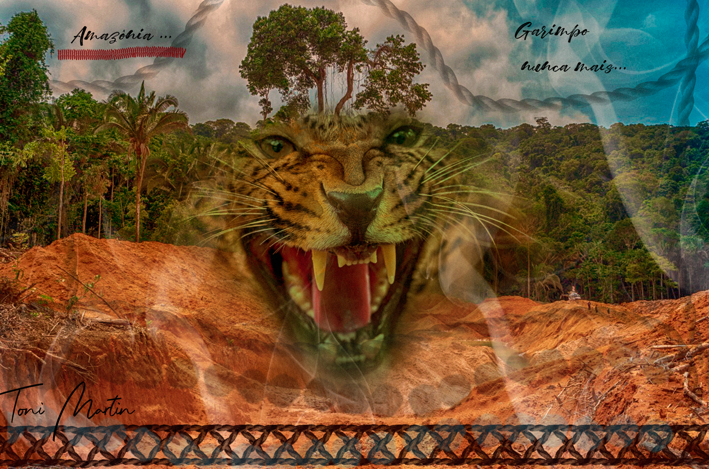 O grito da Onça Pintada