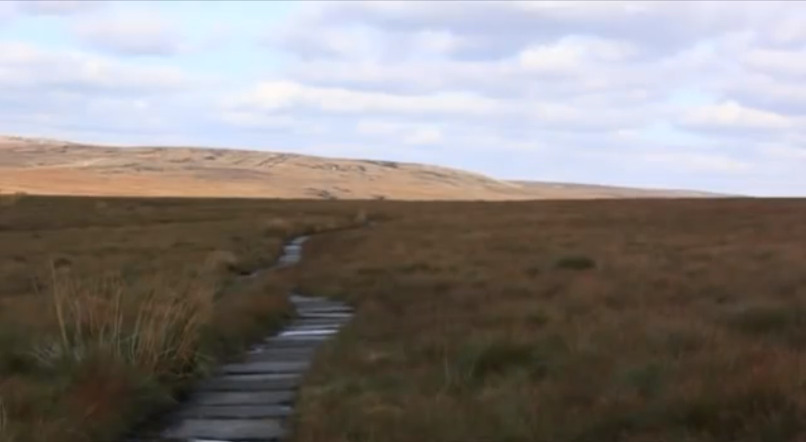 Britain's Hills Management