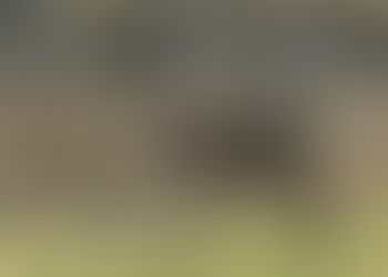 The art of science communication: can the creative arts bring a new dimension to your research?