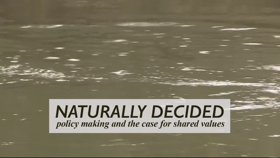 Shared, Plural and Cultural values