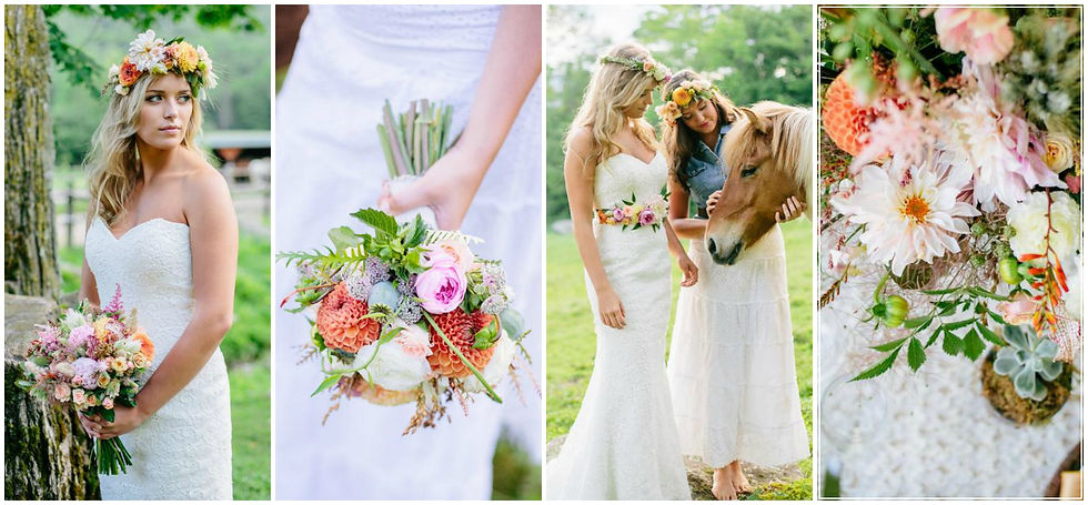 Boho Horses