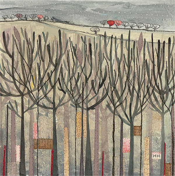 Looking Through - Winter - Helen Hallows.jpg