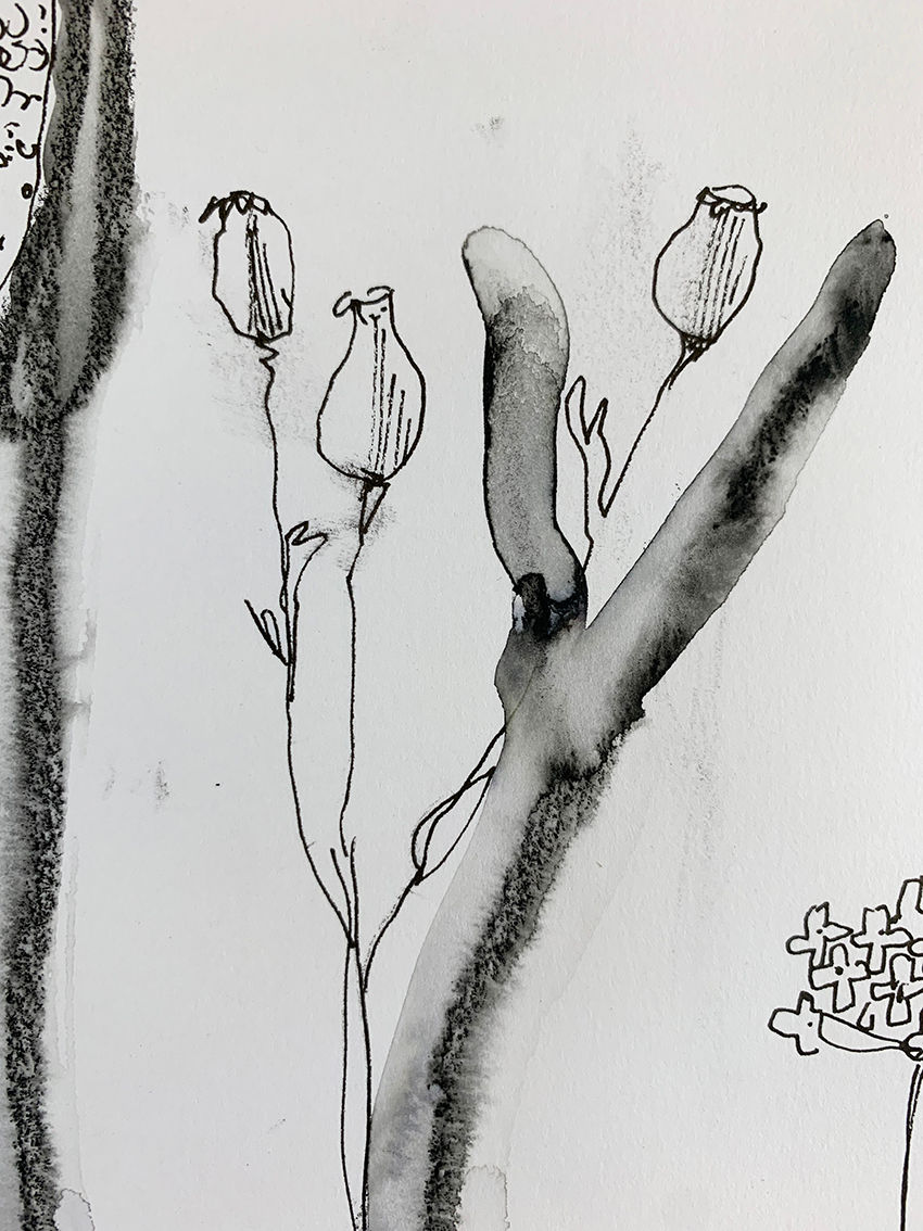 Thumbnail: Treasures from the Path
