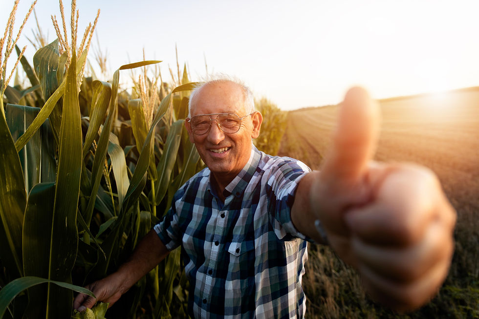 Ein zufriedener Landwirt steht auf seinem Feld und zeigt stolz den Daumen nach oben. Als begeisterter Kunde der innovativen Solarparks von SKYWORKER setzt er auf nachhaltige Energie für seine Landwirtschaft.