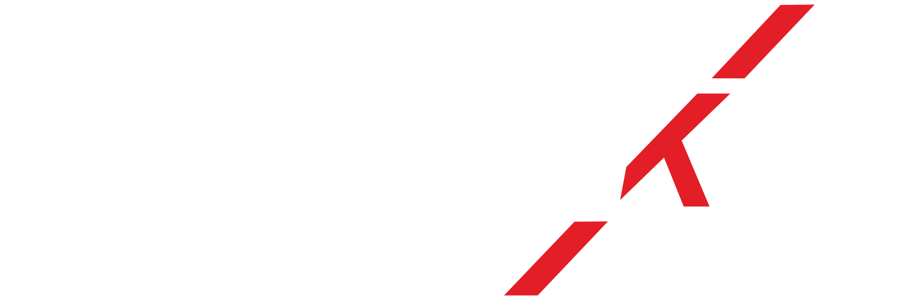 SKYWORKER LOGO WHITE.png