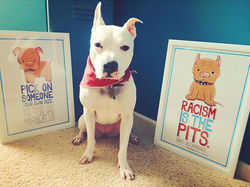 Walter @walterwhitethepibble