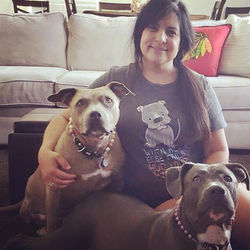 @char_the_tripod_pittie