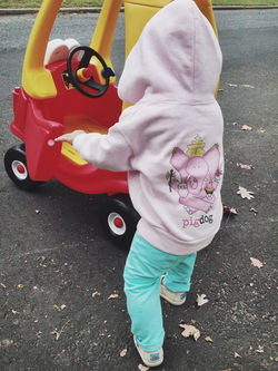 Quinn - New Jersey