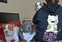 Amy and her pups - Oakland, CA