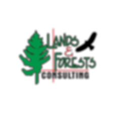 logo-1.png