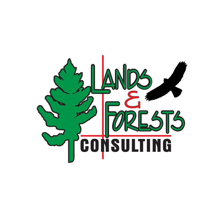 Tree Marking Lands & Forests Consulting Ontario