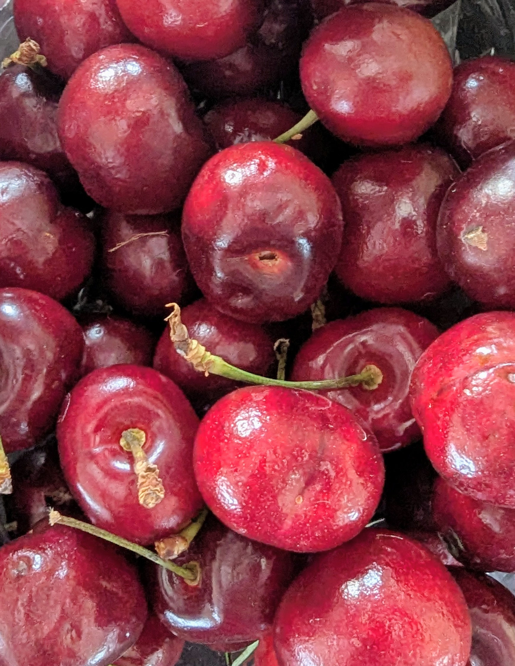 Organic Red Cherries 