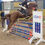 Miniaturbild: Springpferd / Allrounder