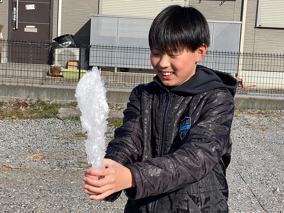 車から雪下ろし