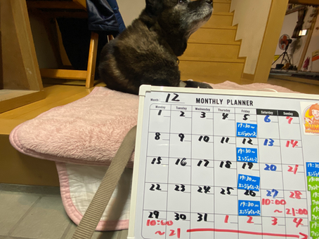 年末年始の営業のお知らせ