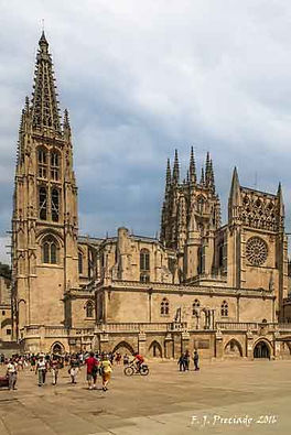SIL_DSC9946-W.jpg